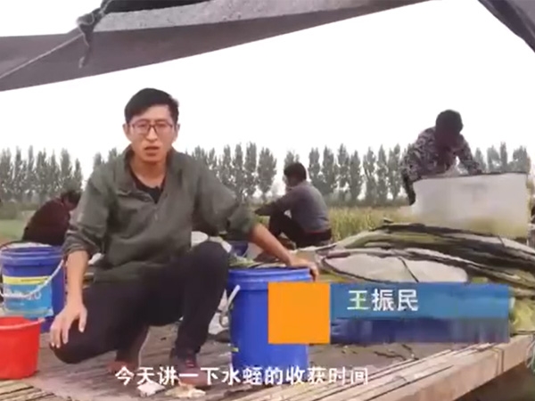 千亿国际官方网站收获时间